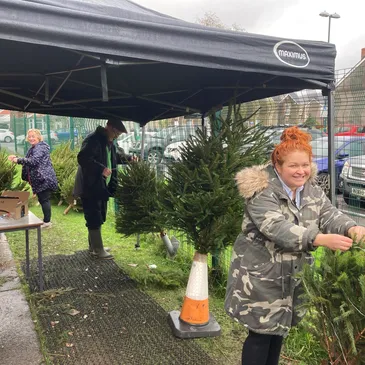 Christmas Trees