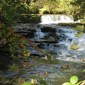 Forge Fach Falls & Dramline