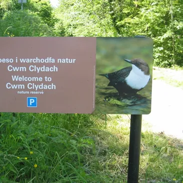 RSPB Bird Reserve