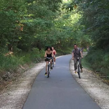 Route 43 Cycle Path